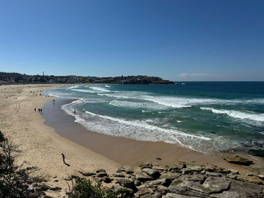 1/2 day Sydney Sightseeing and Bondi Beach Tour - Mrs Macquarie’s Chair: the best photo angle on a tight morning