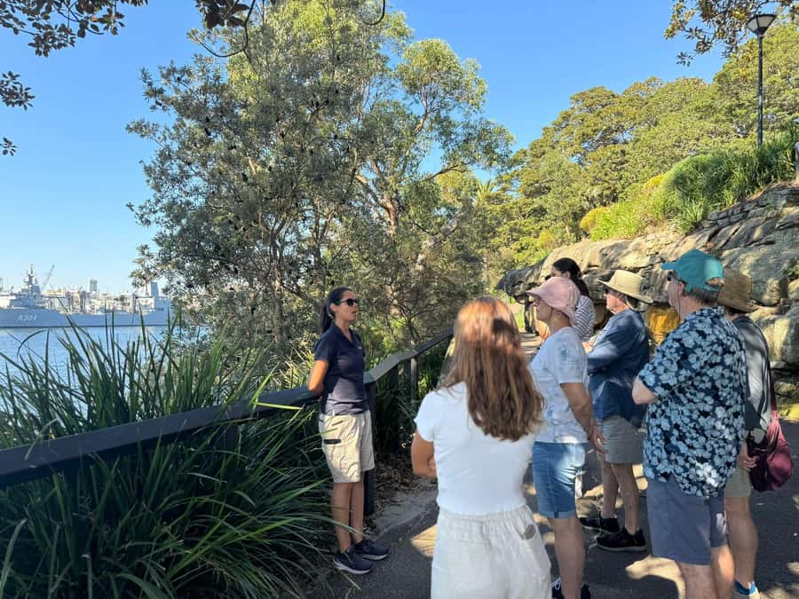 1/2 day Sydney Sightseeing and Bondi Beach Tour - Centennial Park and Paddington: the slower side between harbour and beach