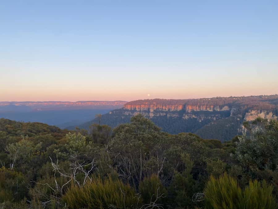 #1 Blue Mountains Tour Scenic World Waterfalls Wildlife Park - Featherdale Wildlife Park: Great Aussie Animals, Limited Time