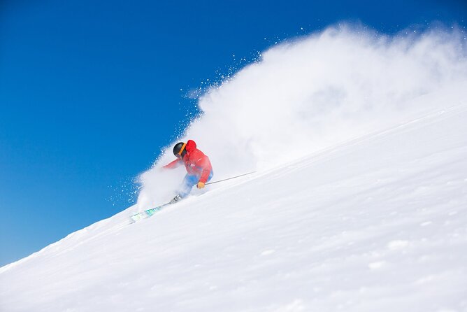 1 Day Perisher Snow Tour - A snow day that starts at 11pm: the schedule feel