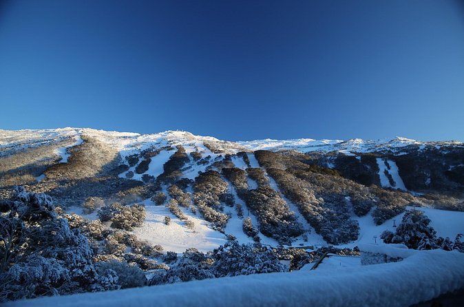 1 Day Thredbo Snow Tour - 7 hours at Thredbo: snow time plus real village breaks