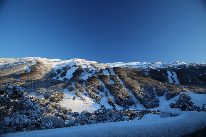 1 Day Thredbo Snow Tour - Ski lessons and lift passes: plan your add-ons in advance
