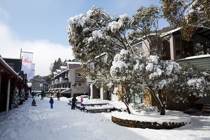 1 Day Thredbo Snow Tour From Sydney - Guide Anna and the difference good info makes on snow days
