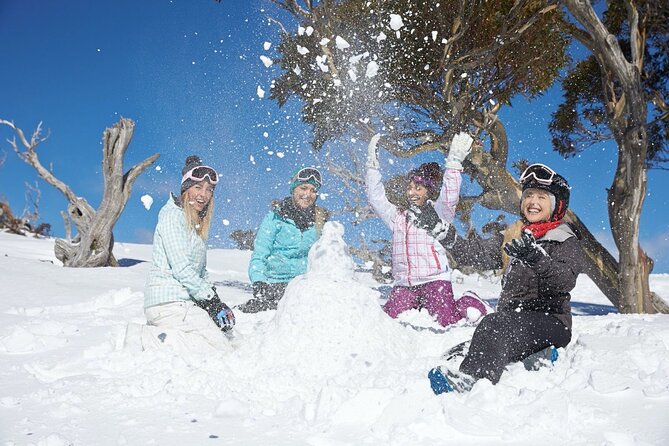 1 Day Thredbo Snow Tour From Sydney - Who should book this Thredbo day trip from Sydney