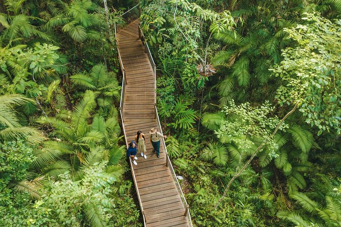 14 Day Tour from Sydney to Cairns Fraser Island and Whitsundays - Atherton Tablelands rainforest walks and crater lakes before Cairns