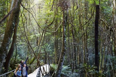 3 Day Private Tour in Blue Mountains and Kiama in Sydney City - Royal Botanic Garden and Mrs Macquarie’s Chair for those skyline shots