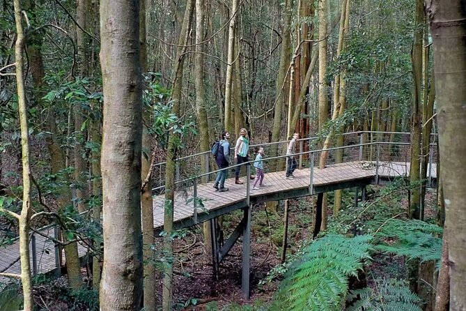 3 Day Private Tour in Blue Mountains and Kiama in Sydney City - Wentworth Falls is the good-value waterfall stop
