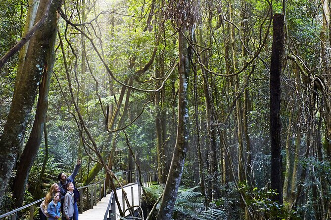 3 Day Private Tour in Blue Mountains and Kiama in Sydney City - Royal Botanic Garden and Mrs Macquarie’s Chair for those skyline shots