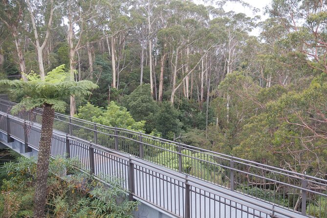 3 Day Scenic Tour of Blue Mountains from Sydney - Day 3: Govetts Leap, Zig Zag heritage railway, and Mount Tomah gardens