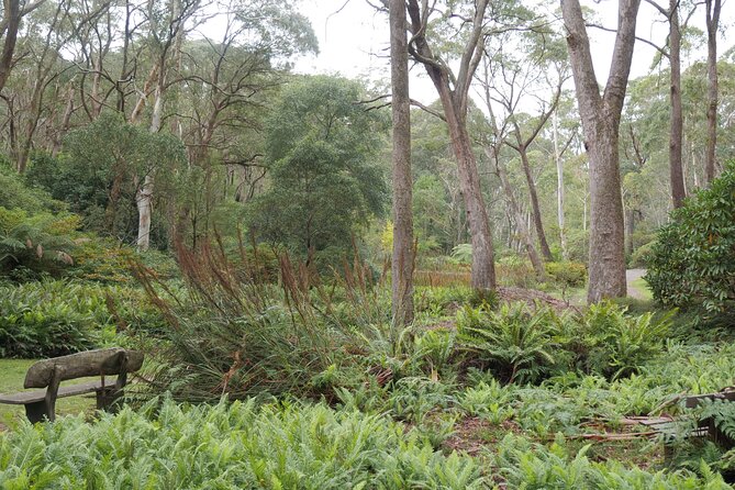 3 Day Scenic Tour of Blue Mountains from Sydney - Your guide and group size: where the personalization actually shows
