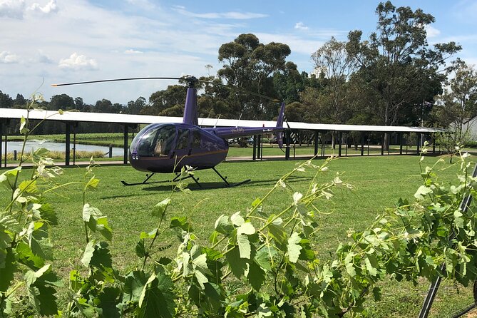 3 Hour Helicopter Wine Tasting Tour in Hunter Valley - Key Highlights You’ll Care About