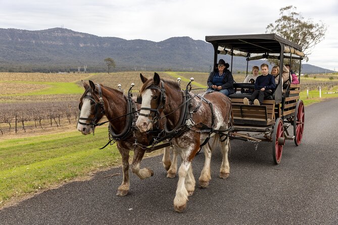 3- Hour Wine and Harvest the Hunter Horse Tour in Pokolbin - Key Points to Know Before You Go