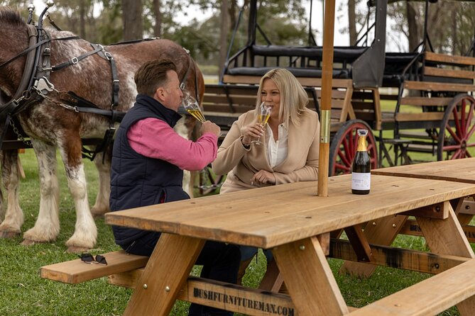 3- Hour Wine and Harvest the Hunter Horse Tour in Pokolbin - Why a Horse-Drawn Pokolbin Wine Tour Feels Different From the Usual Bus