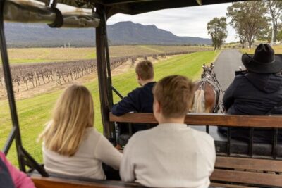 3- Hour Wine and Harvest the Hunter Horse Tour in Pokolbin - The Carriage Ride: Where the Photos, Fresh Air, and Small Thrills Happen