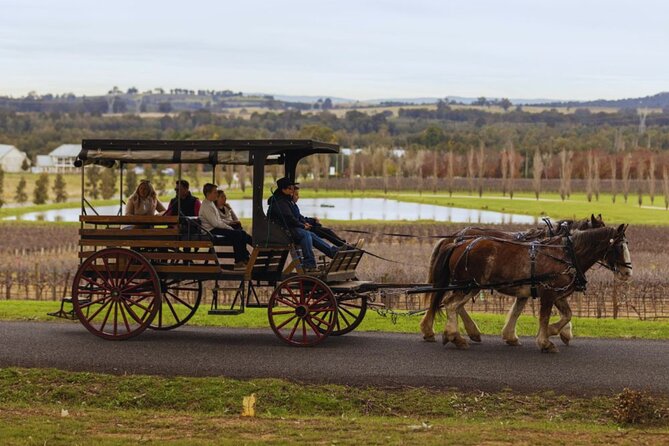 3- Hour Wine and Harvest the Hunter Horse Tour in Pokolbin - Who Should Book This Pokolbin Horse and Wine Tour?