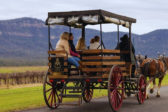 3- Hour Wine and Harvest the Hunter Horse Tour in Pokolbin - Should You Book the 3-Hour Horse and Harvest Tour in Pokolbin?