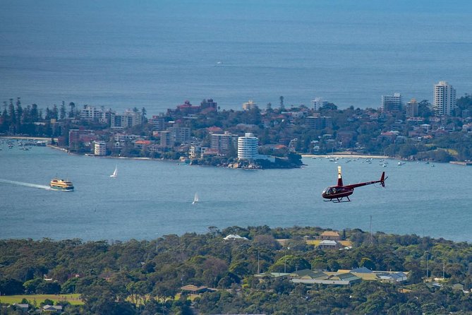 30-Minute Sydney Harbour and Olympic Park Helicopter Tour - Bankstown Aerodrome Check-In: Photo Time, Parking, and the Safety Brief