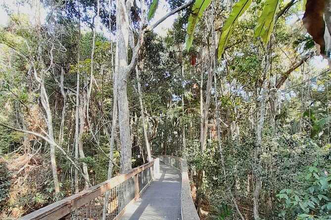 4-Day Private Coastal Escape from Sydney to Mid North Coast - Driving Day 1: Wyong and Nabiac set the tone