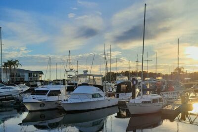4-Day Private Coastal Escape from Sydney to Mid North Coast - Port Macquarie Day 2: lighthouses, koalas, and the rainforest boardwalk