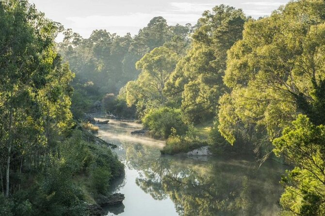 A Day In The Vineyards || Luxury Private Winery Tour From Sydney - Fitzroy Falls forest walk: the cool-air break you’ll appreciate