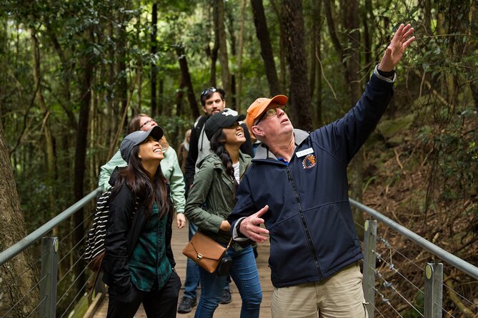 All Inclusive Blue Mountain,Scenic World,Lunch,Koalas,ferry - Circular Quay start: what to know before you go