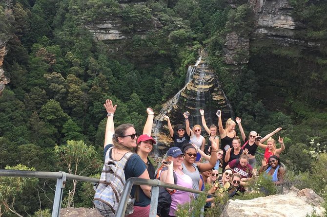 All Inclusive Blue Mountain,Scenic World,Lunch,Koalas,ferry - Lunch that fits real diets (and keeps the day on track)