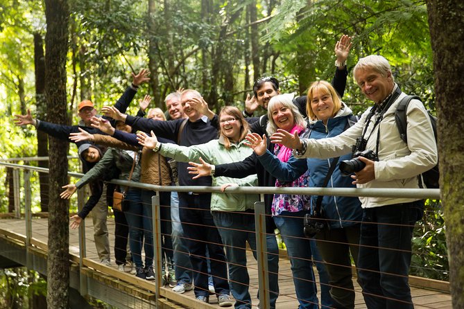 All Inclusive Blue Mountain,Scenic World,Lunch,Koalas,ferry - Three Sisters lookouts: short stops, strong payoff