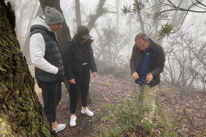 Army Truck Adventures - 3 Hour Guided Tour - Stop 1: Blue Mountains, World Heritage views with eucalyptus in the air