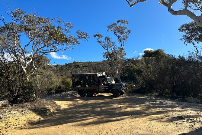 Army Truck Adventures - 3 Hour Guided Tour - Small group size (up to 8) and why it changes the vibe