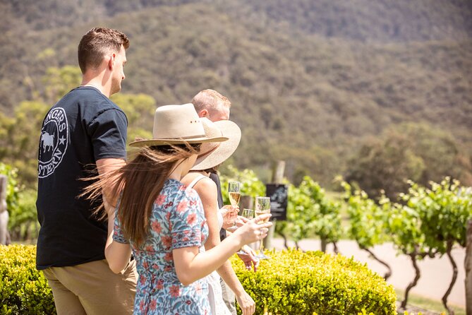 Audrey Wilkinson Vineyard: Picnic with Wine Masterclass Tasting - Price and value: does $68.14 per person add up?