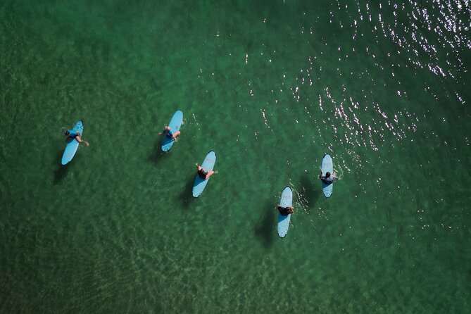 Australian Surfing and Camping Tours - Swag camping, meals, and wildlife watching that make the trip feel like a trip