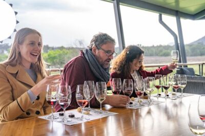 Award-Winning Hunter Valley Wine & Cheese Tour from Sydney - Pokolbin wineries: tasting widely, not rushing