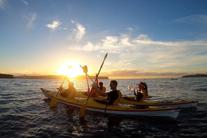 Beautiful Middle Harbour Sunriser / Guided Kayaking Private Tour - Key Things You’ll Notice on This Private Sunrise Kayak