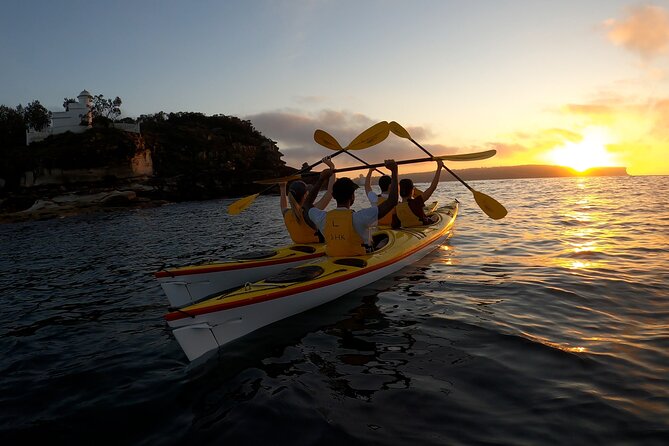 Beautiful Middle Harbour Sunriser / Guided Kayaking Private Tour - Why a Middle Harbour Sunrise Kayak Works So Well