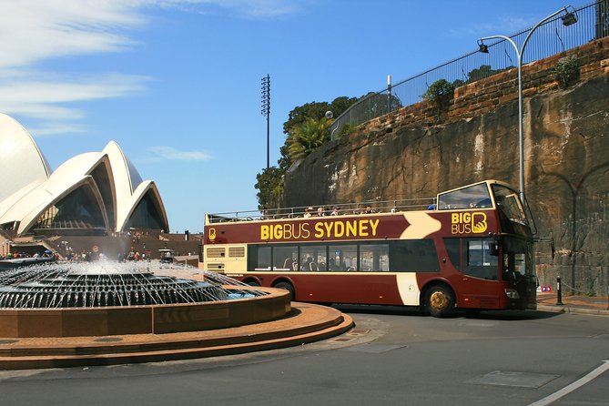 Big Bus Sydney and Bondi Hop-on Hop-off Tour - Night tour and Captain Cook harbor cruise upgrade: optional, but plan it early