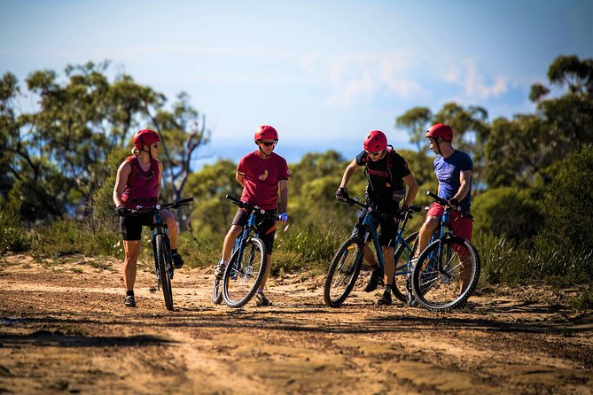 Blue Labyrinth PRIVATE Tour: Sydney Blue Mountains by E-Bike - Glenbrook is the smart starting point for Blue Mountains riding