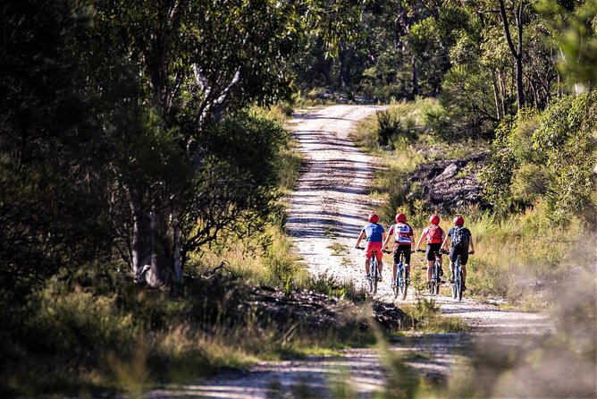 Blue Labyrinth PRIVATE Tour: Sydney Blue Mountains by E-Bike - Timing and pacing: a 4-hour private morning that fits real plans