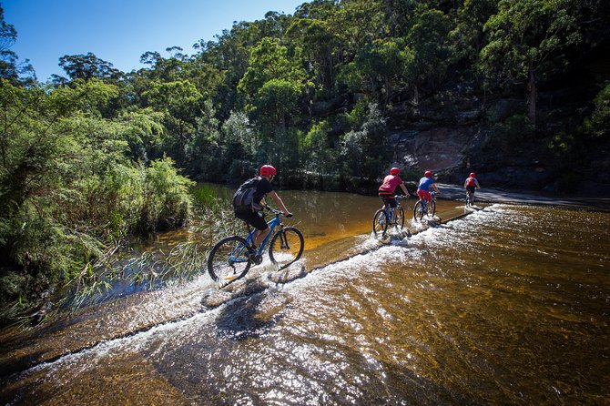 Blue Labyrinth PRIVATE Tour: Sydney Blue Mountains by E-Bike - Who should book this e-bike Blue Mountains tour