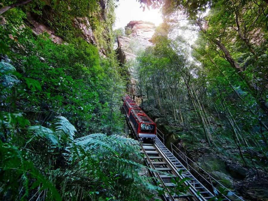 Blue Mountain Tour + Hop-on-Hop-off Big Bus Discover Ticket - Leura and Echo Point: timed viewing, quick walks, good photos