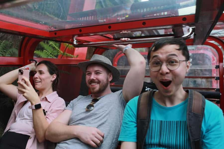 Blue Mountain Tour + Hop-on-Hop-off Big Bus Discover Ticket - Sydney Zoo stop: koalas, kangaroos, and the Koala Trail photo