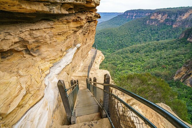 Blue Mountain Tour with Hop on and Hop Off Bus - The Blue Mountains + Sydney Zoo Day Plan That Makes Sense