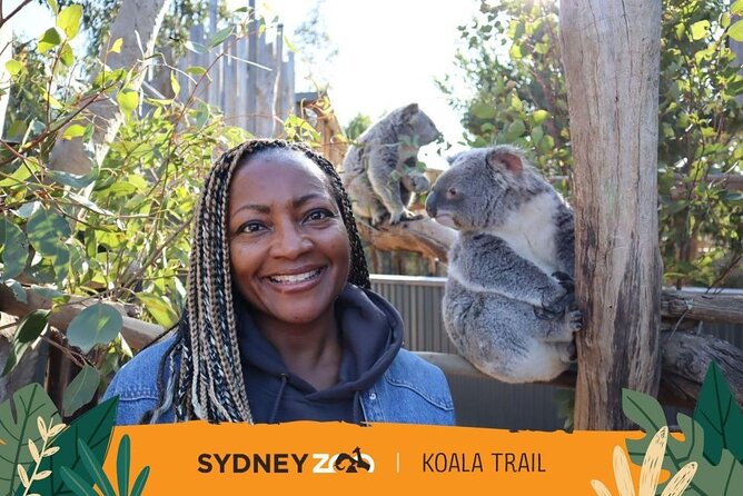 Blue Mountain Tour with Hop on and Hop Off Bus - Echo Point Lookout and the Three Sisters View Time