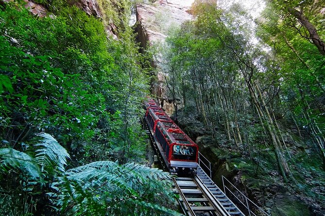 Blue Mountain Tour with Hop on and Hop Off Bus - Big Bus Hop-On Hop-Off: Make Your 24 Hours Count