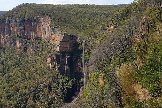 Blue Mountains 1-Hour Trike Tour of Three Sisters - Pickup, timing, and departures: planning made easy