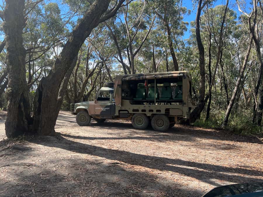 Blue Mountains 3 Hour Army Truck Adventures - Key things to know before you book