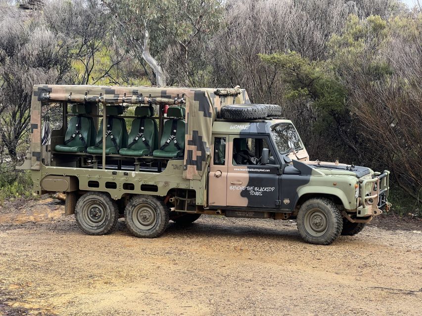 Blue Mountains 3 Hour Army Truck Adventures - Small group energy: why 8 people changes the day