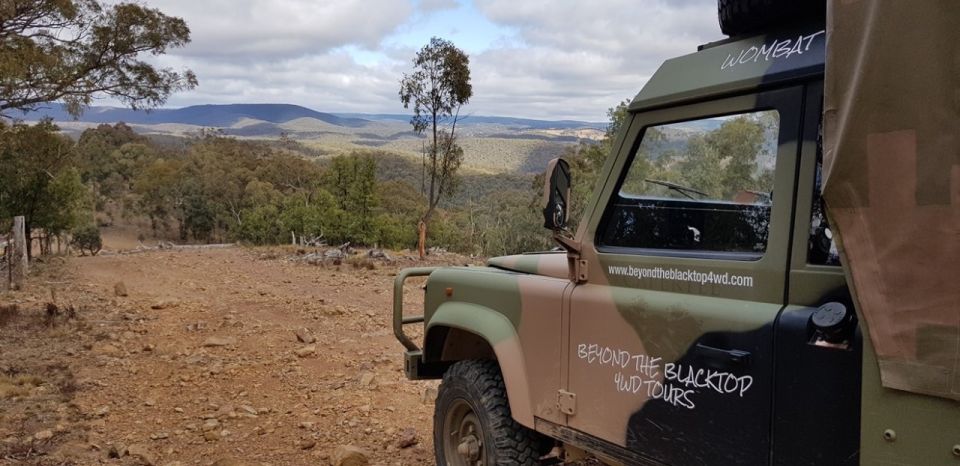 Blue Mountains 90 Minute Army Truck Adventures - Short Walks on Dirt Tracks: Easy, But Don’t Underestimate Them