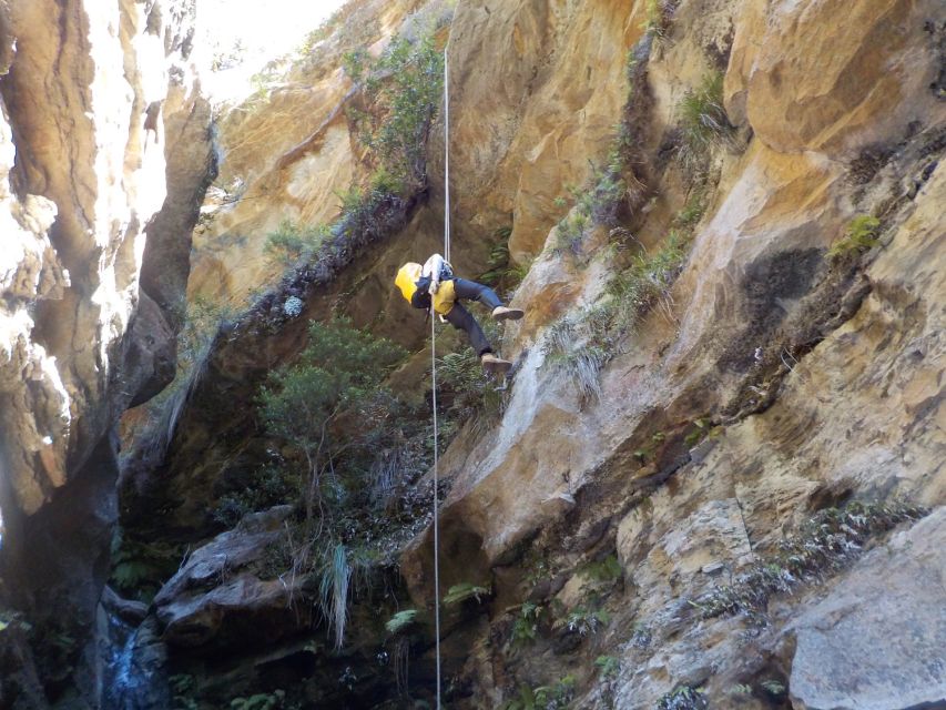 Blue Mountains: Abseiling and Canyoning Experience - What’s Included: Gear, Transport, Park Fees, Lunch, and a Waterproof Camera