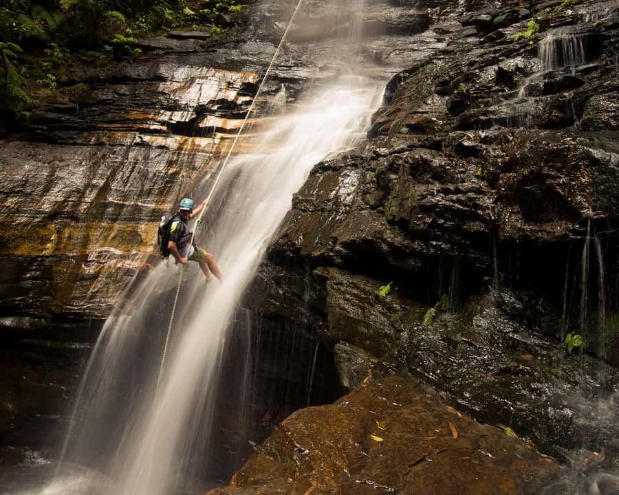Blue Mountains: Abseiling and Canyoning Experience - Lunch to Canyon Start: A 20-Minute Forest Walk Into Slot-Canyon Water