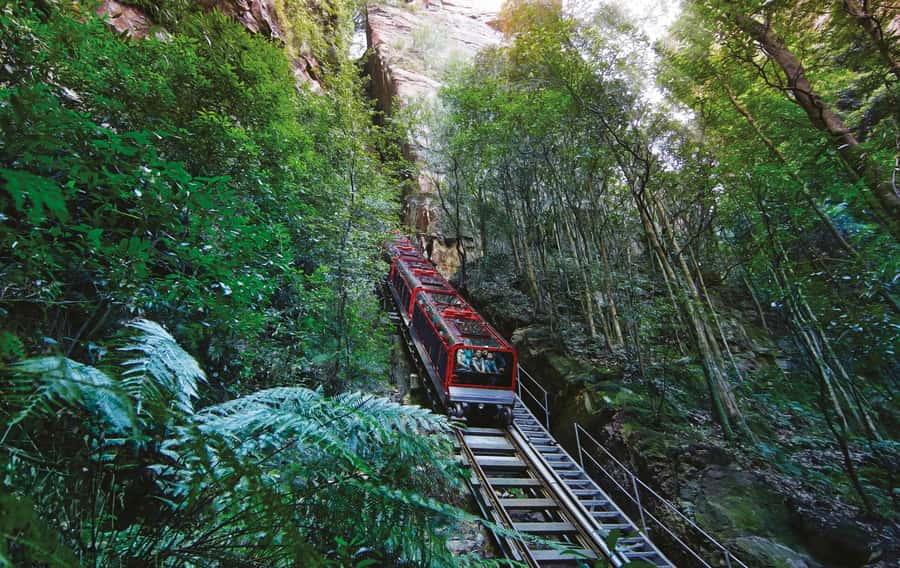 Blue Mountains Adventure: Scenic World, Zoo & Koala Photo - The day’s big idea: icons + rides, not just sightseeing